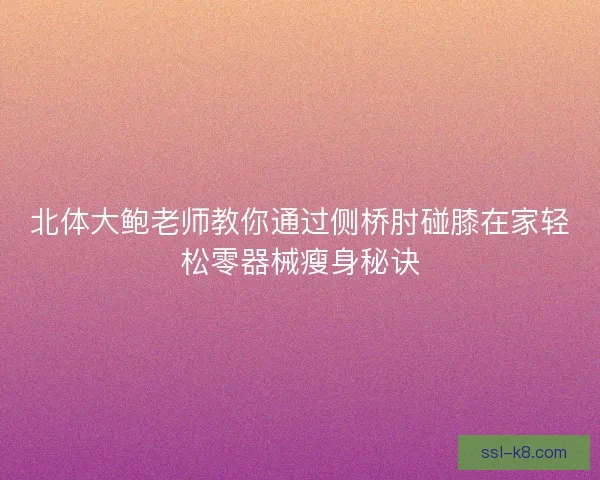 北体大鲍老师教你通过侧桥肘碰膝在家轻松零器械瘦身秘诀
